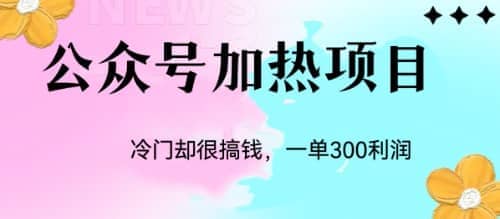 冷门公众号加热项目，一单利润300-紫爵资源库