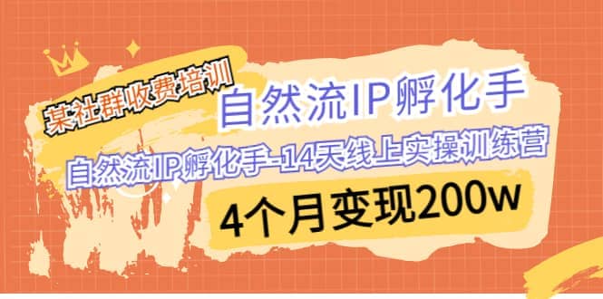 某社群收费培训：自然流IP 孵化手-14天线上实操训练营-紫爵资源库