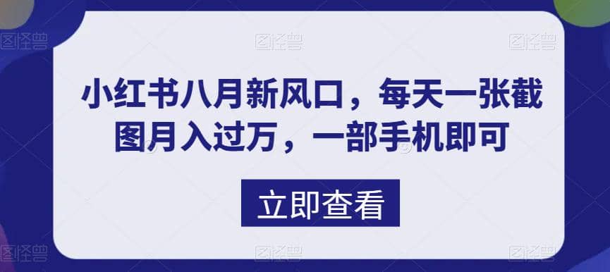 八月新风口，小红书虚拟项目一天收入1000 ，实战揭秘-紫爵资源库