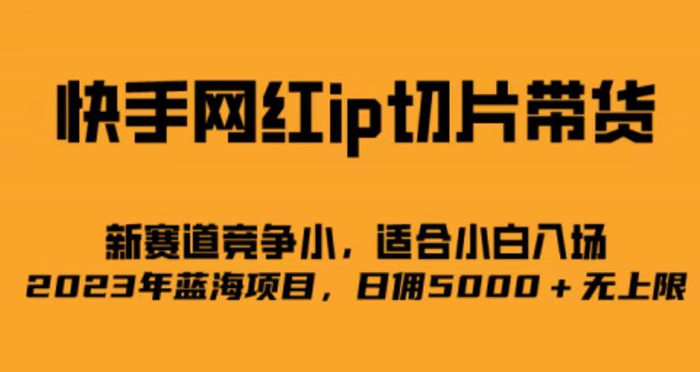 快手网红ip切片新赛道，竞争小事，适合小白 2023蓝海项目-紫爵资源库