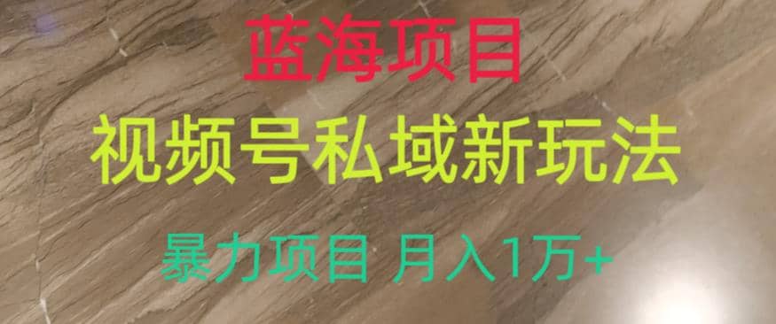 蓝海项目，视频号私域新玩法，暴力项目月入1万 【揭秘】-紫爵资源库