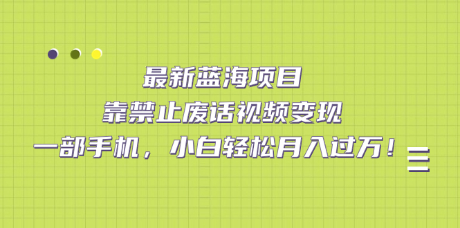 最新蓝海项目，靠禁止废话视频变现，一部手机，小白轻松月入过万！-紫爵资源库