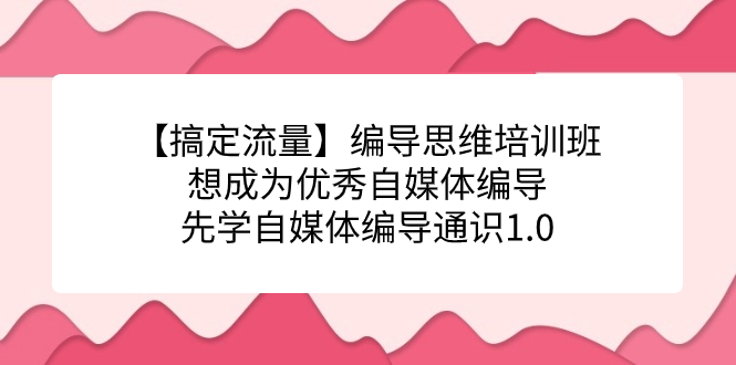 【搞定流量】编导思维培训班，想成为优秀自媒体编导先学自媒体编导通识1.0-紫爵资源库