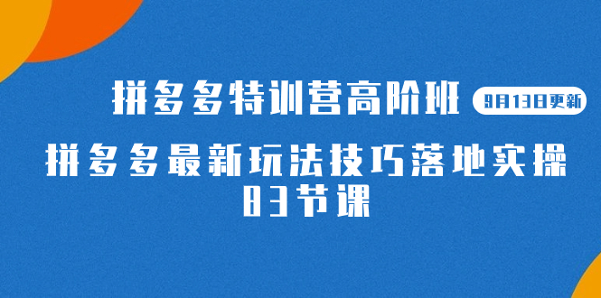 2023拼多多·特训营高阶班【9月13日更新】拼多多最新玩法技巧落地实操-83节-紫爵资源库