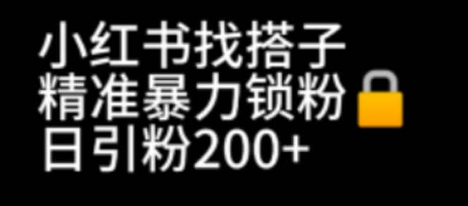 小红书找搭子暴力精准锁粉 引流日引200 精准粉-紫爵资源库