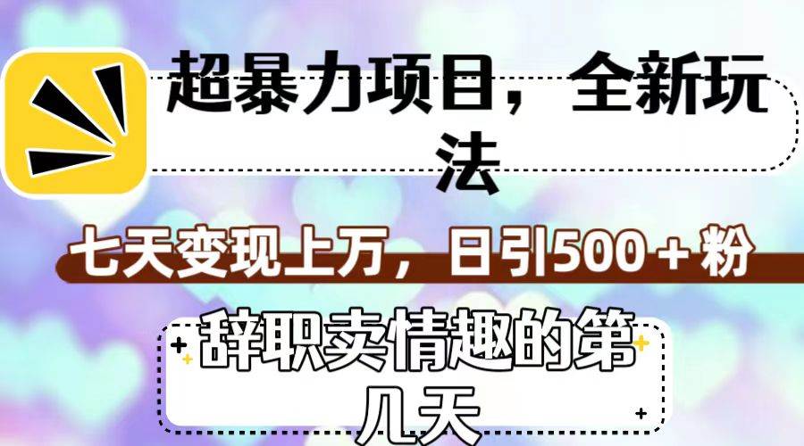 超暴利项目，全新玩法（辞职卖情趣的第几天），七天变现上万，日引500 粉-紫爵资源库