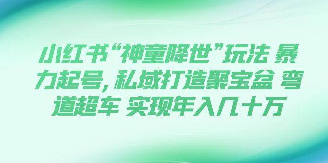 小红书“神童降世”玩法 暴力起号,私域打造聚宝盆 弯道超车 实现年入几十万-紫爵资源库