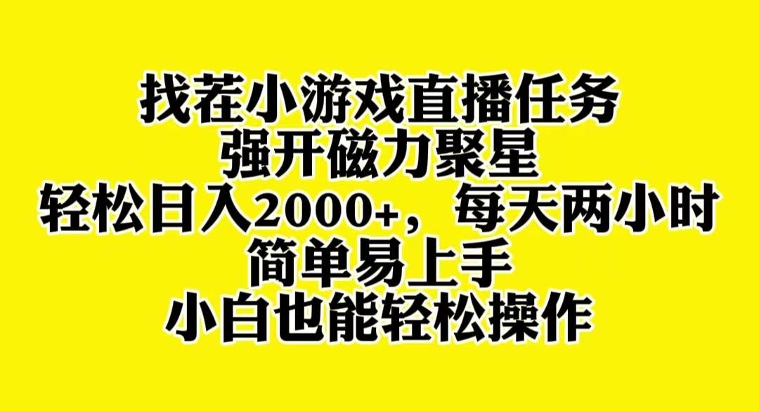 找茬小游戏直播，强开磁力聚星，轻松日入2000 ，小白也能轻松上手-紫爵资源库