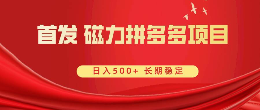 首发 磁力拼多多自撸 日入500-紫爵资源库