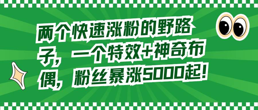 两个快速涨粉的野路子，一个特效 神奇布偶，粉丝暴涨5000起！-紫爵资源库