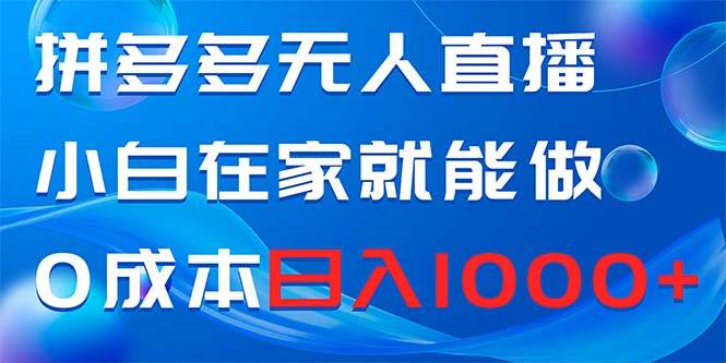 拼多多无人直播，小白在家就能做，0成本日入1000-紫爵资源库