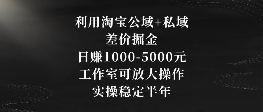 利用淘宝公域+私域差价掘金，日赚1000-5000元，工作室可放大操作，实操…-紫爵资源库