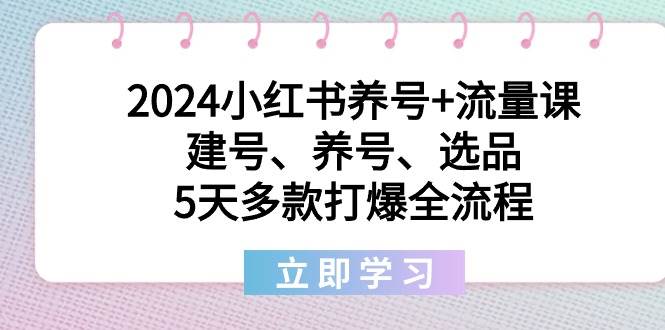 2024小红书养号+流量课：建号、养号、选品，5天多款打爆全流程-紫爵资源库