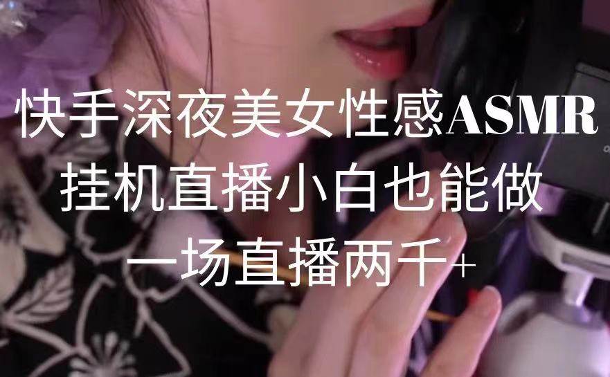 快手深夜美女性感ASMR挂机直播，小白也能做，一场直播两千+-紫爵资源库