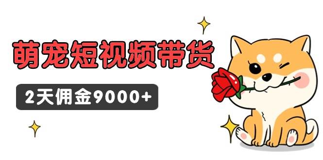 东哲日记·萌宠短视频带货，2天佣金9000+-紫爵资源库