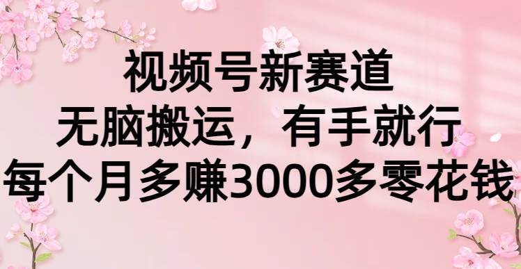 视频号新赛道，无脑搬运，有手就行，每个月多赚3000多零花钱-紫爵资源库