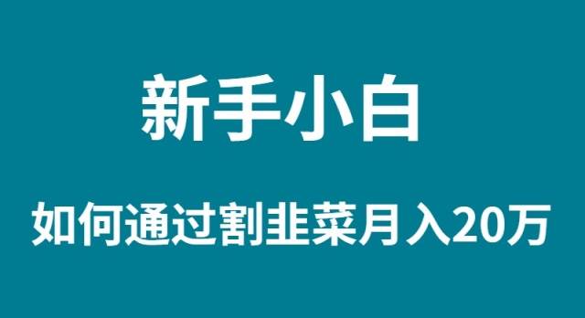 新手小白如何通过割韭菜月入 20W-紫爵资源库