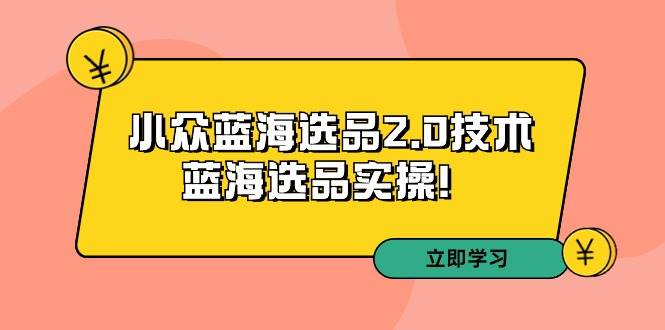 拼多多培训第33期：小众蓝海选品2.0技术-蓝海选品实操！-紫爵资源库