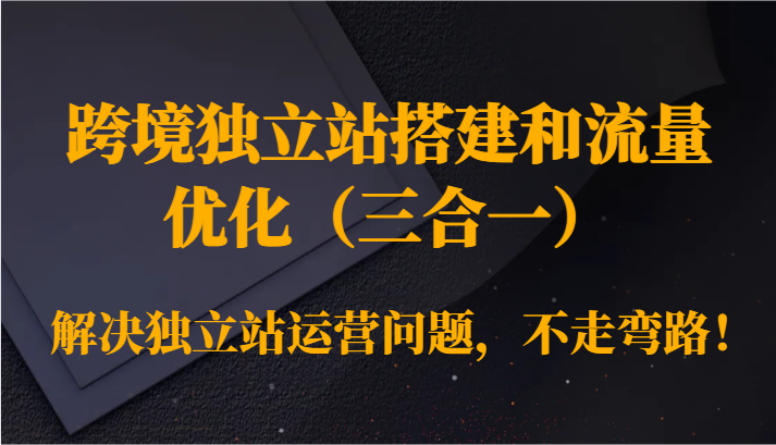 跨境独立站搭建和流量优化（三合一）解决独立站运营问题，不走弯路！-紫爵资源库