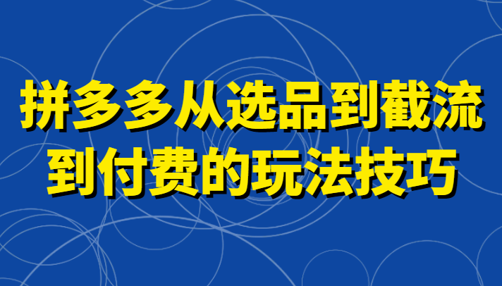 拼多多从选品到截流到付费的玩法技巧，助你掌握截流自然流量，高投产，强付费快速启动-紫爵资源库