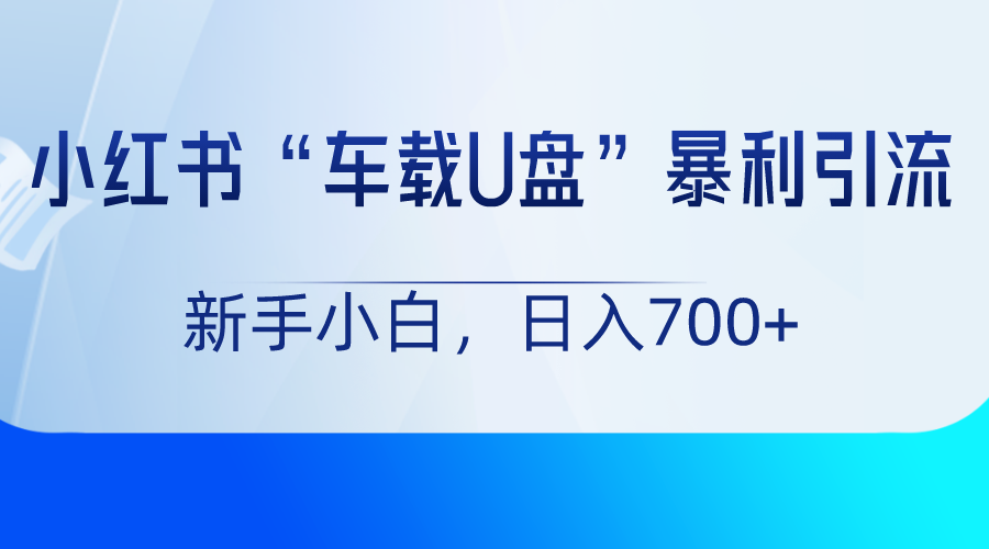 小红书“车载U盘”项目，暴利引流，新手小白轻松日入700+-紫爵资源库