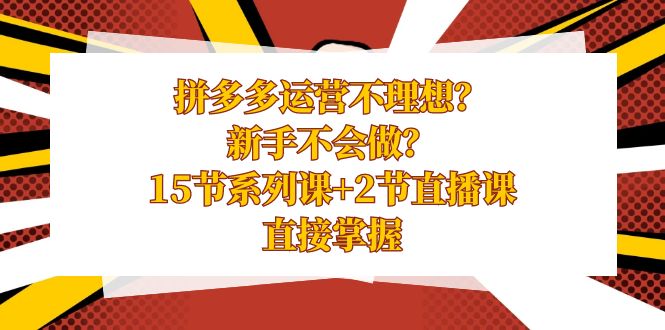 拼多多运营不理想？新手不会做？15节系列课+2节直播课学会直接掌握-紫爵资源库