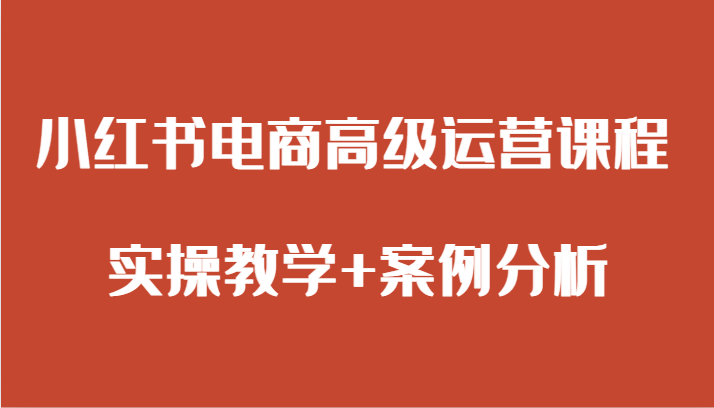 小红书电商高级运营课程 实操教学+案例分析-紫爵资源库