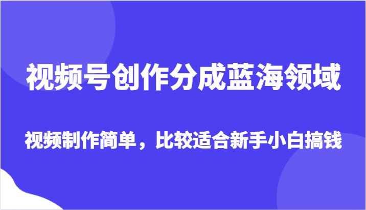 视频号创作分成蓝海领域，视频制作简单，比较适合新手小白搞钱-紫爵资源库