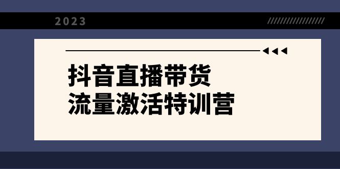 抖音直播带货-流量激活特训营，入行新手小白主播必学（21节课+资料）-紫爵资源库