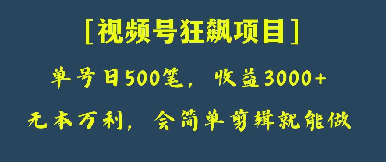 日收款500笔，纯利润3000+，视频号狂飙项目！-紫爵资源库