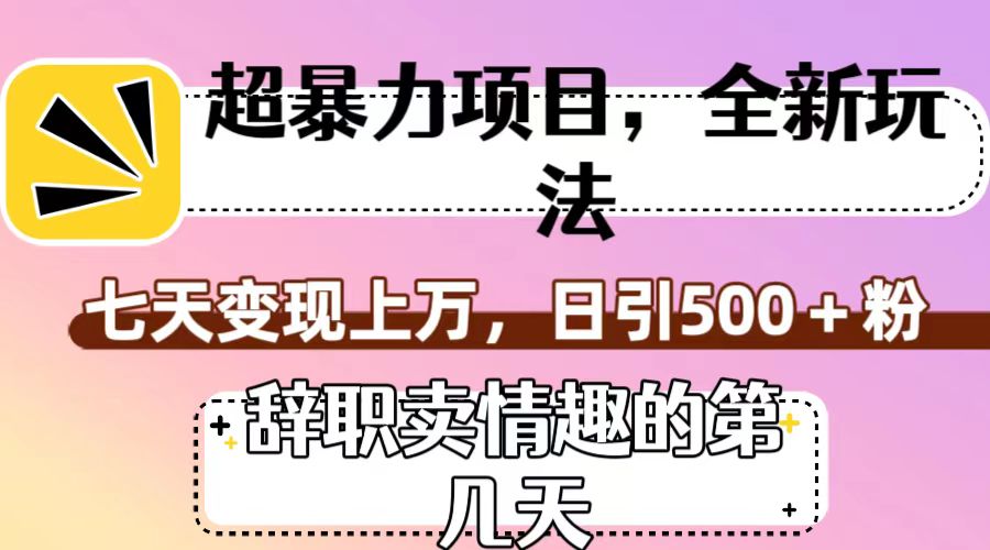 超暴利项目，全新玩法（辞职卖情趣的第几天），七天变现上万，日引500+粉-紫爵资源库