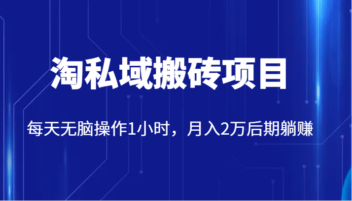 价值2980的淘私域搬砖项目，每天无脑操作1小时，月入2万后期躺赚-紫爵资源库