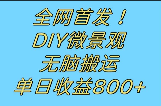 全网首发冷门赛道！DIY微景观，无脑搬运视频，日收益800+-紫爵资源库