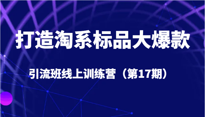 打造淘系标品大爆款引流班线上训练营（第17期）5天直播授课+1个月答疑-紫爵资源库