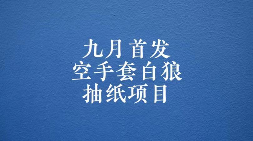 0成本，日入100-500空手套白狼抽纸项目，保姆级教学-紫爵资源库