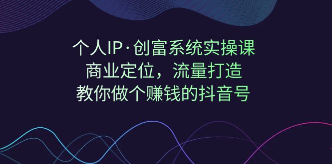 个人IP·创富系统实操课：商业定位，流量打造，教你做个赚钱的抖音号-紫爵资源库