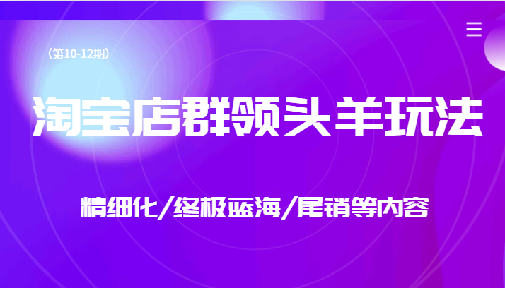 淘宝店群领头羊玩法，精细化/终极蓝海/尾销等内容（第10-12期）-紫爵资源库