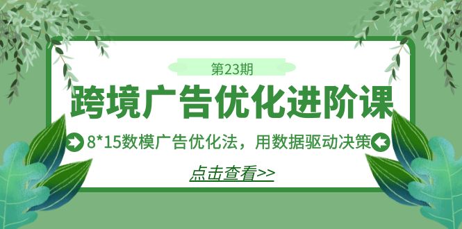 跨境广告·优化进阶课·第23期，8*15数模广告优化法，用数据驱动决策-紫爵资源库