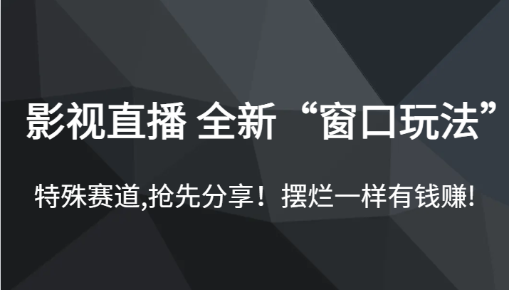 影视直播 全新“窗口玩法”，特殊赛道,抢先分享！摆烂一样有钱赚!-紫爵资源库