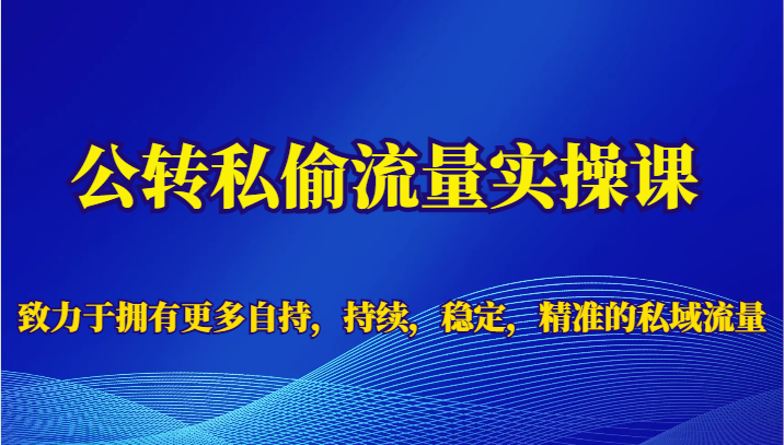 公转私偷流量实操课，致力于拥有更多自持，持续，稳定，精准的私域流量-紫爵资源库