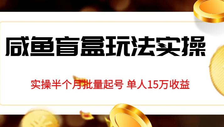 独家首发咸鱼盲盒玩法实操，半个月批量起号单人15万收益揭秘-紫爵资源库