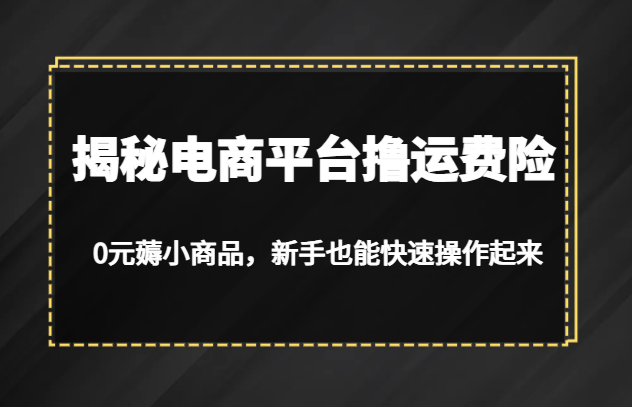 揭秘电商平台撸运费险，0元薅小商品，新手也能快速操作起来-紫爵资源库