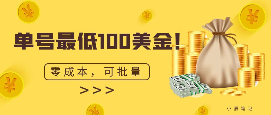 单号最低100美金，零成本，小白无脑操作。可复制，可扩大。-紫爵资源库