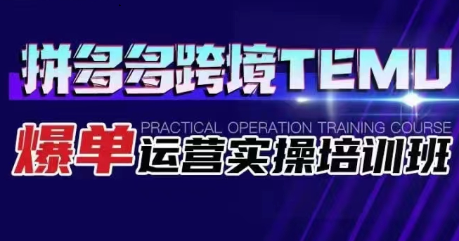 拼多多跨境TEMU爆单运营实操培训班 海外拼多多的选品、运营、爆单-紫爵资源库