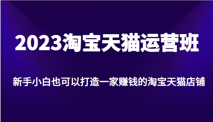 2023淘宝天猫运营班，新手小白也可以打造一家赚钱的淘宝天猫店铺-紫爵资源库