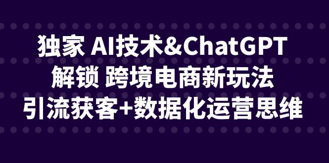 独家 AI技术&ChatGPT解锁 跨境电商新玩法，引流获客+数据化运营思维-紫爵资源库