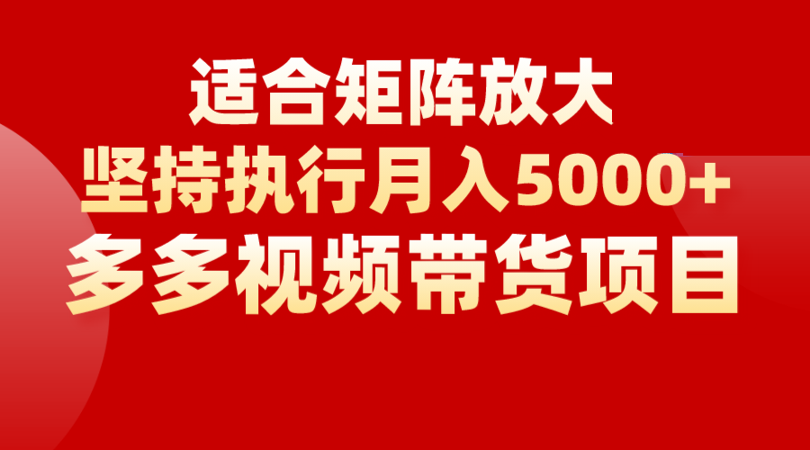 矩阵操作月入5000+，多多视频带货项目，适合新手，也适合老手放大-紫爵资源库