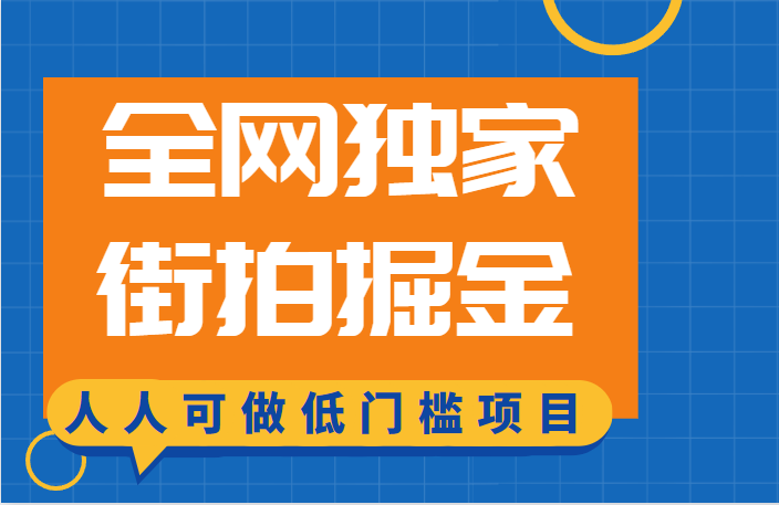 全网独家一街拍掘金，低门槛人人可做的赚钱项目-紫爵资源库