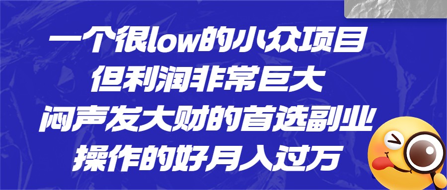 [抖音快手]一个很low的小众项目，但利润非常巨大，闷声发大财的首选副业，操作的好月入过万-紫爵资源库