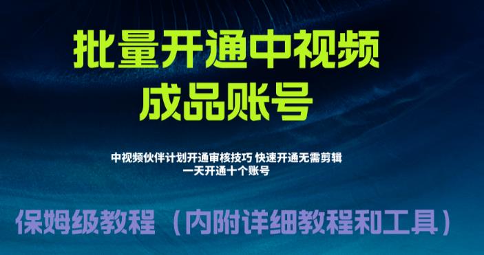 [新自媒体]外面收费1980暴力开通中视频计划教程，附 快速通过中视频伙伴计划的办法-紫爵资源库